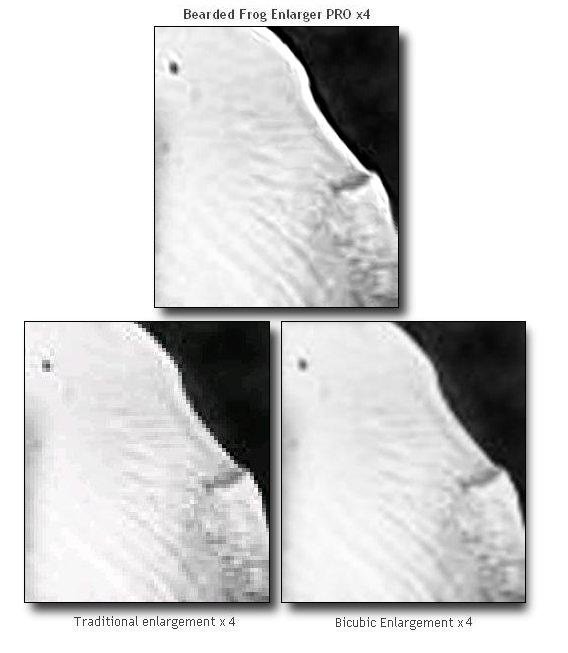 Original image when enlargerd to four times the original size using a variety of enlargement methods